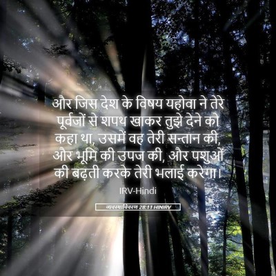 Picture 05 - व्यवस्थाविवरण 28:11 HINIRV - और जिस देश के विषय - Bible Verse Picture