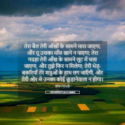 Picture 05 - व्यवस्थाविवरण 28:31 HINIRV - तेरा बैल तेरी - Bible Verse Picture