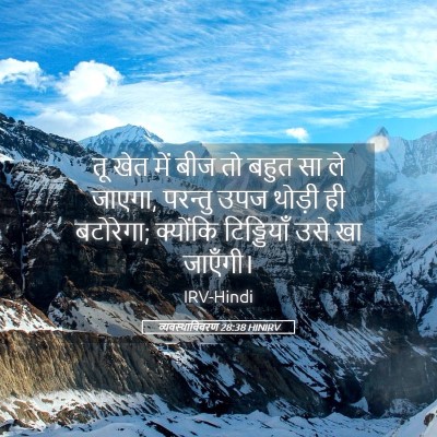 Picture 05 - व्यवस्थाविवरण 28:38 HINIRV - तू खेत में बीज तो - Bible Verse Picture