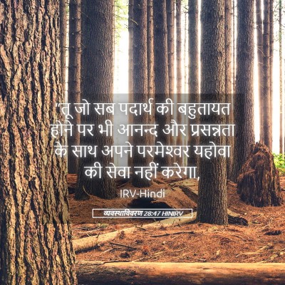Picture 05 - व्यवस्थाविवरण 28:47 HINIRV - “तू जो सब पदार्थ की - Bible Verse Picture
