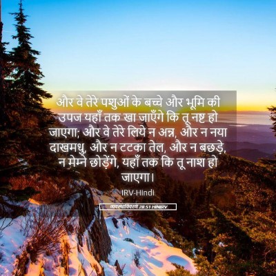 Picture 05 - व्यवस्थाविवरण 28:51 HINIRV - और वे तेरे पशुओं के - Bible Verse Picture