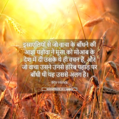 Picture 05 - व्यवस्थाविवरण 29:1 HINIRV - इस्राएलियों से जो - Bible Verse Picture