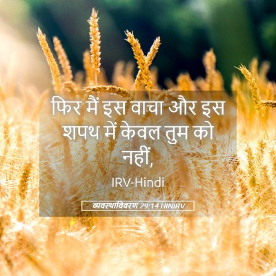 Picture 05 - व्यवस्थाविवरण 29:14 HINIRV - फिर मैं इस वाचा और - Bible Verse Picture