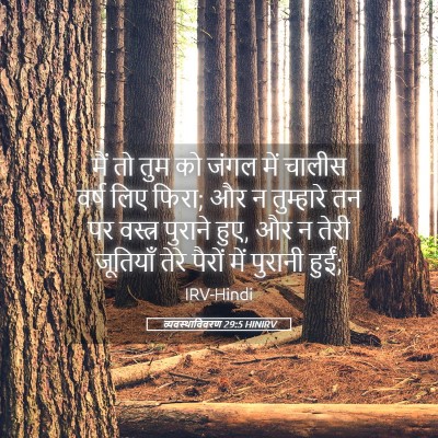 Picture 05 - व्यवस्थाविवरण 29:5 HINIRV - मैं तो तुम को जंगल - Bible Verse Picture