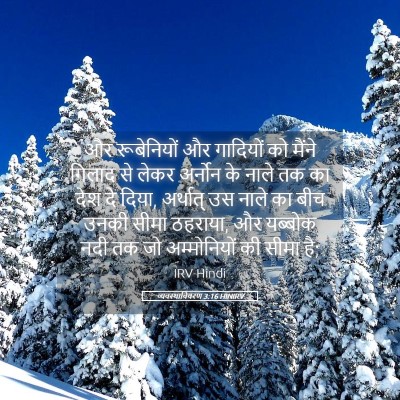 Picture 05 - व्यवस्थाविवरण 3:16 HINIRV - और रूबेनियों और - Bible Verse Picture