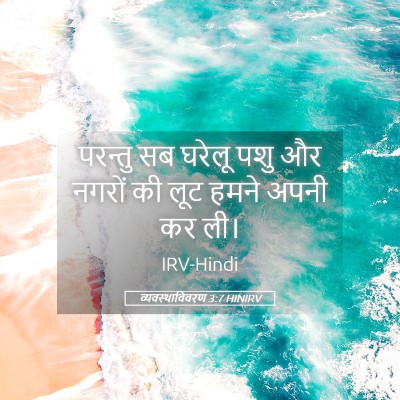 Picture 05 - व्यवस्थाविवरण 3:7 HINIRV - परन्तु सब घरेलू - Bible Verse Picture