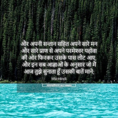 Picture 05 - व्यवस्थाविवरण 30:2 HINIRV - और अपनी सन्तान - Bible Verse Picture