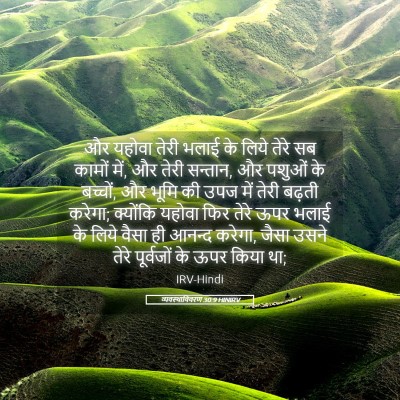 Picture 05 - व्यवस्थाविवरण 30:9 HINIRV - और यहोवा तेरी भलाई - Bible Verse Picture