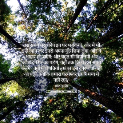 Picture 05 - व्यवस्थाविवरण 31:17 HINIRV - उस समय मेरा कोप इन - Bible Verse Picture