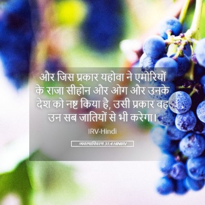 Picture 05 - व्यवस्थाविवरण 31:4 HINIRV - और जिस प्रकार - Bible Verse Picture