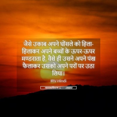 Picture 05 - व्यवस्थाविवरण 32:11 HINIRV - जैसे उकाब अपने - Bible Verse Picture