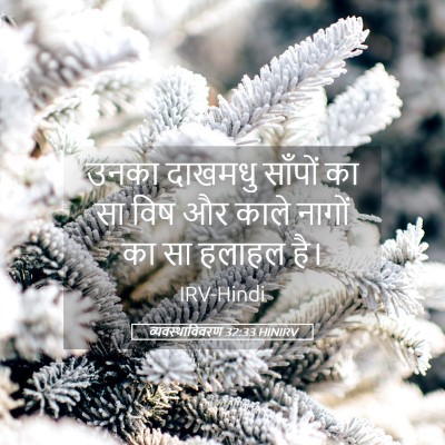 Picture 05 - व्यवस्थाविवरण 32:33 HINIRV - उनका दाखमधु - Bible Verse Picture