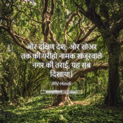 Picture 05 - व्यवस्थाविवरण 34:3 HINIRV - और दक्षिण देश, और - Bible Verse Picture