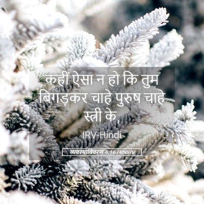 Picture 05 - व्यवस्थाविवरण 4:16 HINIRV - कहीं ऐसा न हो कि - Bible Verse Picture