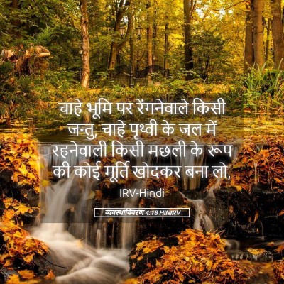 Picture 05 - व्यवस्थाविवरण 4:18 HINIRV - चाहे भूमि पर - Bible Verse Picture