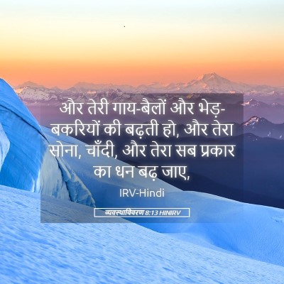 Picture 05 - व्यवस्थाविवरण 8:13 HINIRV - और तेरी गाय-बैलों - Bible Verse Picture