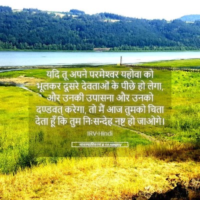 Picture 05 - व्यवस्थाविवरण 8:19 HINIRV - यदि तू अपने - Bible Verse Picture