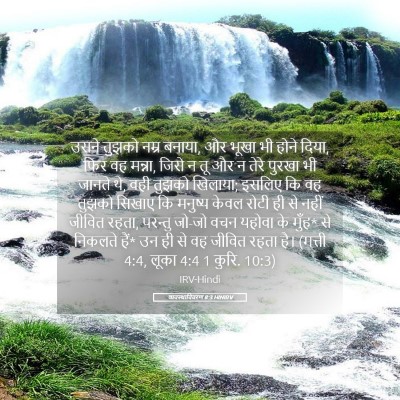 Picture 05 - व्यवस्थाविवरण 8:3 HINIRV - उसने तुझको नम्र - Bible Verse Picture