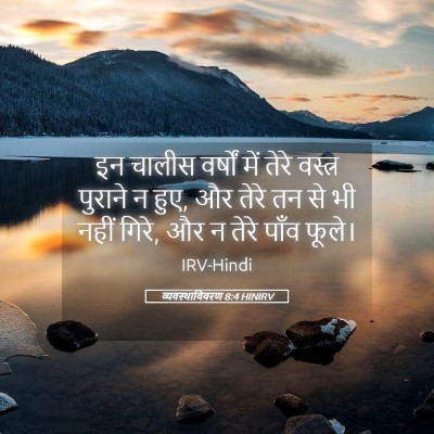 Picture 05 - व्यवस्थाविवरण 8:4 HINIRV - इन चालीस वर्षों - Bible Verse Picture