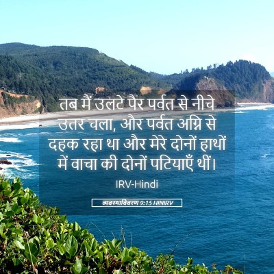 Picture 05 - व्यवस्थाविवरण 9:15 HINIRV - तब मैं उलटे पैर - Bible Verse Picture