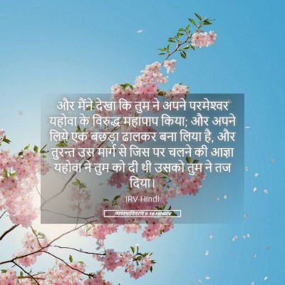Picture 05 - व्यवस्थाविवरण 9:16 HINIRV - और मैंने देखा कि - Bible Verse Picture