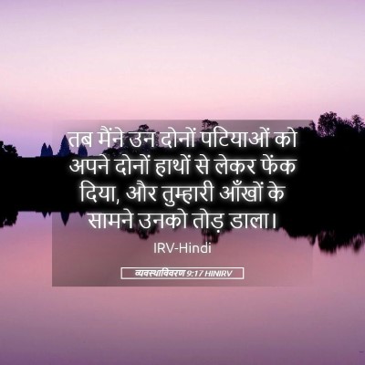 Picture 05 - व्यवस्थाविवरण 9:17 HINIRV - तब मैंने उन दोनों - Bible Verse Picture