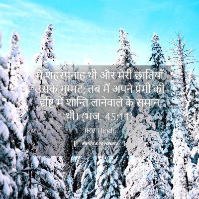 Picture 05 - श्रेष्ठगीत 8:10 HINIRV - मैं शहरपनाह थी और - Bible Verse Picture