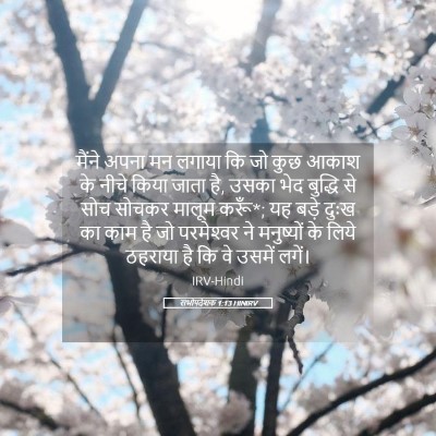 Picture 05 - सभोपदेशक 1:13 HINIRV - मैंने अपना मन - Bible Verse Picture