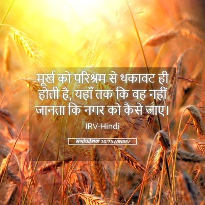 Picture 05 - सभोपदेशक 10:15 HINIRV - मूर्ख को परिश्रम - Bible Verse Picture