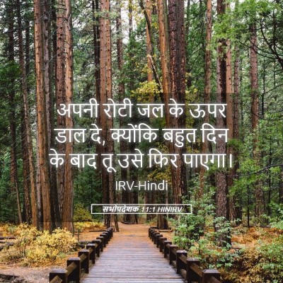 Picture 05 - सभोपदेशक 11:1 HINIRV - अपनी रोटी जल के ऊपर - Bible Verse Picture