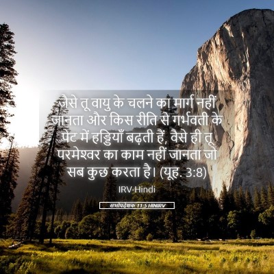 Picture 05 - सभोपदेशक 11:5 HINIRV - जैसे तू वायु के - Bible Verse Picture