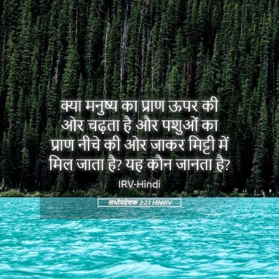 Picture 05 - सभोपदेशक 3:21 HINIRV - क्या मनुष्य का - Bible Verse Picture