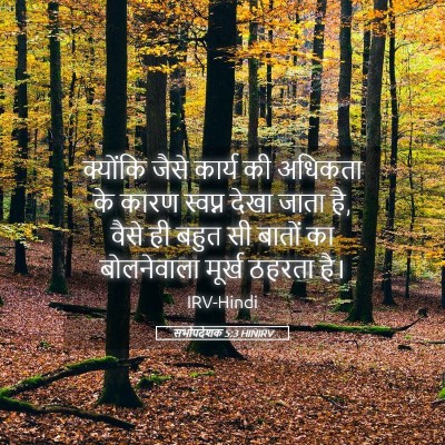 Picture 05 - सभोपदेशक 5:3 HINIRV - क्योंकि जैसे - Bible Verse Picture