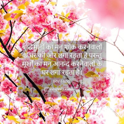Picture 05 - सभोपदेशक 7:4 HINIRV - बुद्धिमानों का मन - Bible Verse Picture