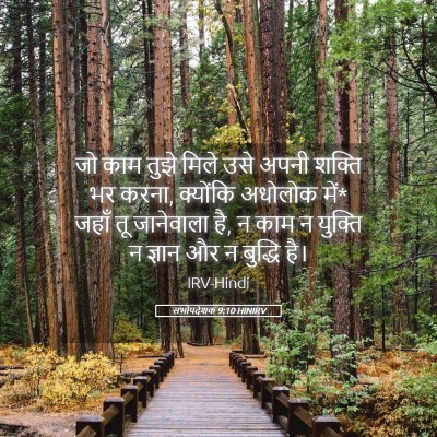 Picture 05 - सभोपदेशक 9:10 HINIRV - जो काम तुझे मिले - Bible Verse Picture