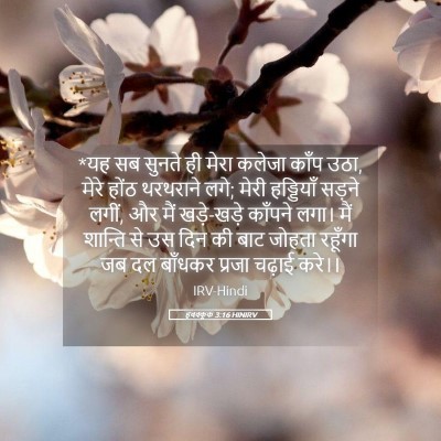 Picture 05 - हबक्कूक 3:16 HINIRV - *यह सब सुनते ही - Bible Verse Picture