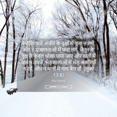 Picture 05 - हबक्कूक 3:17 HINIRV - क्योंकि चाहे - Bible Verse Picture