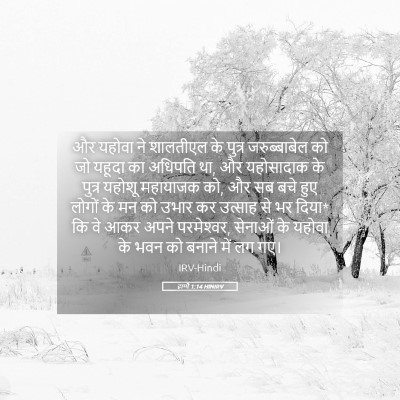 Picture 05 - हाग्गै 1:14 HINIRV - और यहोवा ने - Bible Verse Picture
