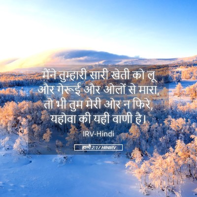 Picture 05 - हाग्गै 2:17 HINIRV - मैंने तुम्हारी - Bible Verse Picture