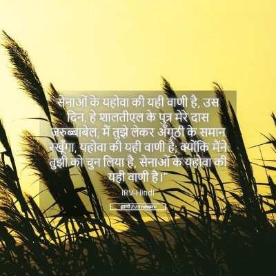 Picture 05 - हाग्गै 2:23 HINIRV - सेनाओं के यहोवा की - Bible Verse Picture