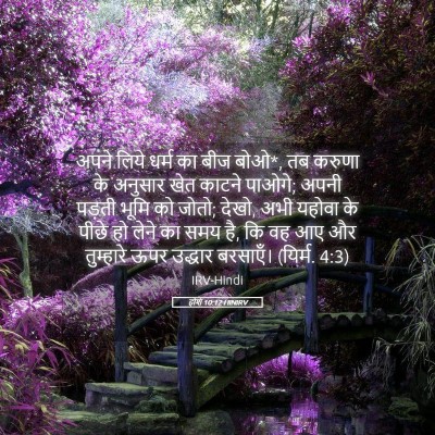 Picture 05 - होशे 10:12 HINIRV - अपने लिये धर्म का - Bible Verse Picture