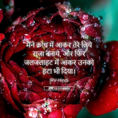 Picture 05 - होशे 13:11 HINIRV - मैंने क्रोध में - Bible Verse Picture