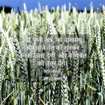 Picture 05 - होशे 2:22 HINIRV - और पृथ्वी अन्न, नये - Bible Verse Picture
