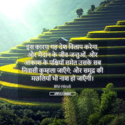 Picture 05 - होशे 4:3 HINIRV - इस कारण यह देश - Bible Verse Picture