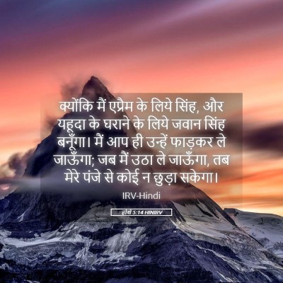 Picture 05 - होशे 5:14 HINIRV - क्योंकि मैं - Bible Verse Picture