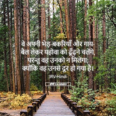Picture 05 - होशे 5:6 HINIRV - वे अपनी - Bible Verse Picture