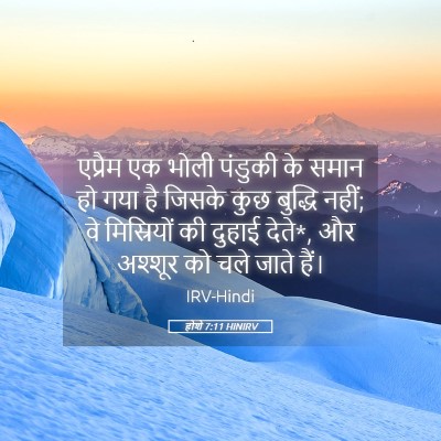 Picture 05 - होशे 7:11 HINIRV - एप्रैम एक भोली - Bible Verse Picture