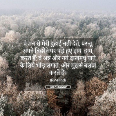 Picture 05 - होशे 7:14 HINIRV - वे मन से मेरी दुहाई - Bible Verse Picture