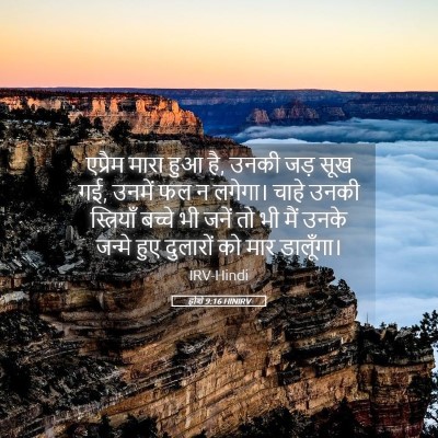 Picture 05 - होशे 9:16 HINIRV - एप्रैम मारा हुआ है, - Bible Verse Picture