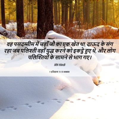 Picture 06 - 1 इतिहास 11:13 HINIRV - वह पसदम्मीम में - Bible Verse Picture